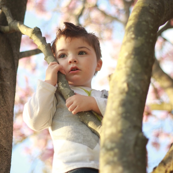 🦋Meet the Posher!🦋 - Picture 3 of 7